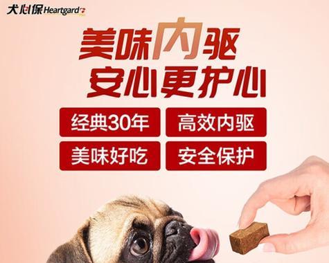 大型犬常用驱虫药品推荐（选择合适的驱虫药保护你的大型犬不受寄生虫侵扰）(图2)