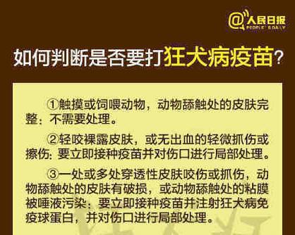 注射狂犬疫苗的注意事项(保护自己与他人,正确注射狂犬疫苗)(图3) 注射狂犬疫苗的注意事项(保护自己与他人,正确注射狂犬疫苗)(图3)