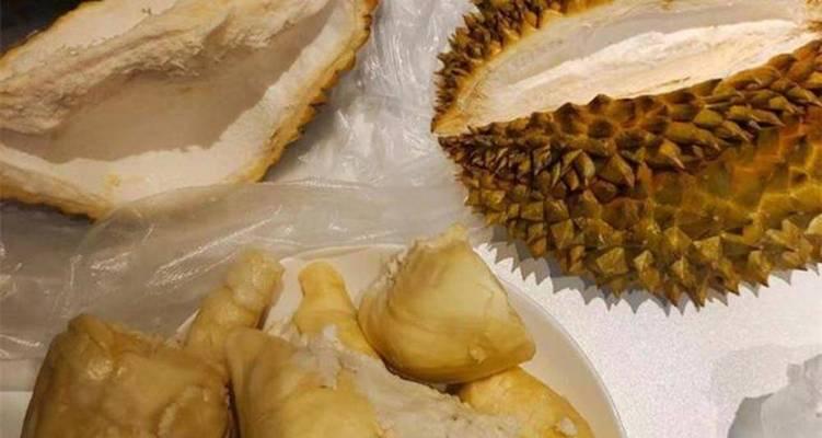 如何缓解狗狗反胃干呕?(以饮食调理和草药治疗为主要方法)(图3) 如何缓解狗狗反胃干呕?(以饮食调理和草药治疗为主要方法)(图3)