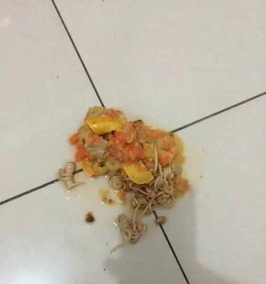 如何缓解狗狗反胃干呕?(以饮食调理和草药治疗为主要方法)(图2) 如何缓解狗狗反胃干呕?(以饮食调理和草药治疗为主要方法)(图2)