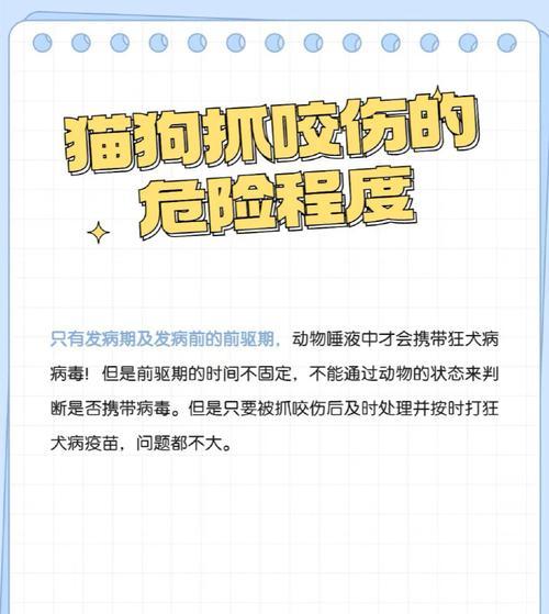 注射狂犬疫苗的注意事项(保护自己与他人,正确注射狂犬疫苗)(图2) 注射狂犬疫苗的注意事项(保护自己与他人,正确注射狂犬疫苗)(图2)