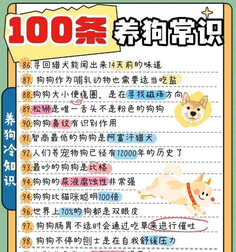 幼犬迎接新家的注意事项(如何让幼犬顺利适应新环境)(图1) 幼犬迎接新家的注意事项(如何让幼犬顺利适应新环境)(图1)