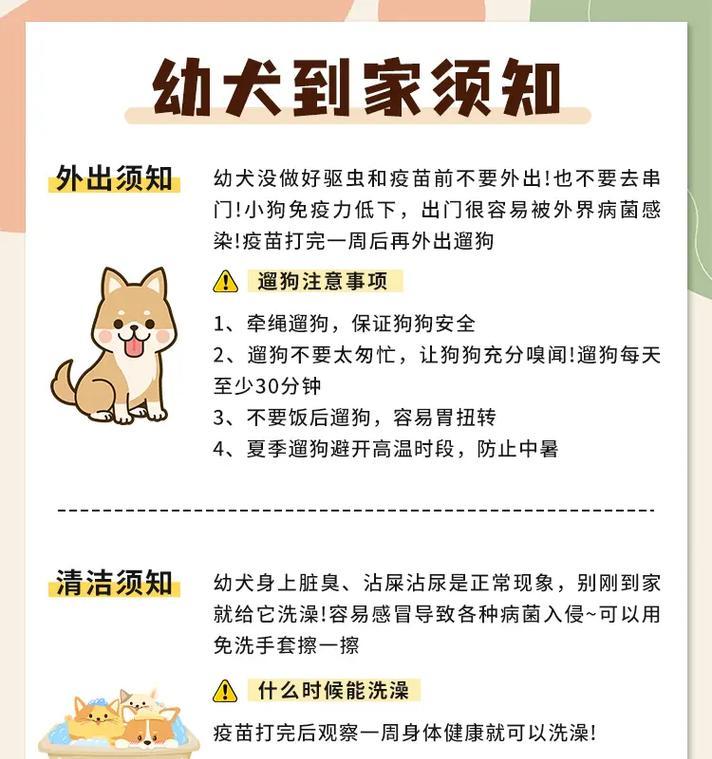 幼犬迎接新家的注意事项(如何让幼犬顺利适应新环境)(图2) 幼犬迎接新家的注意事项(如何让幼犬顺利适应新环境)(图2)