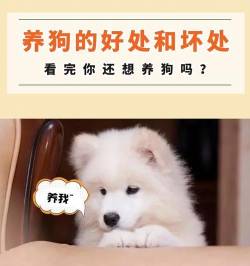 狗吃苹果的好处和坏处(探究狗吃苹果的益处和潜在风险)(图3) 狗吃苹果的好处和坏处(探究狗吃苹果的益处和潜在风险)(图3)