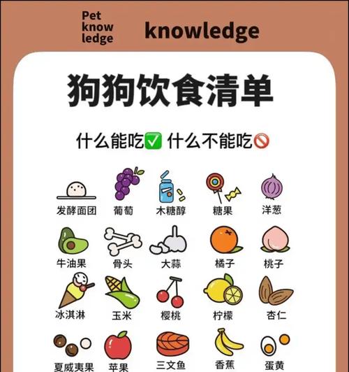 狗狗如何补充营养(为你的爱宠提供健康饮食)(图3) 狗狗如何补充营养(为你的爱宠提供健康饮食)(图3)