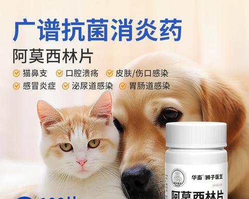 如何有效治疗感冒的狗狗？（药物治疗和其他
