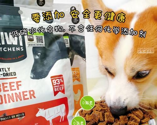 狗的蛋白需求及适宜食物选择（为你的爱犬提