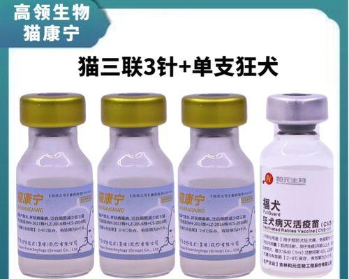 狗狗打疫苗,保护它的健康(了解狗狗常见的疫苗种类和接种时机)(图2) 狗狗打疫苗,保护它的健康(了解狗狗常见的疫苗种类和接种时机)(图2)