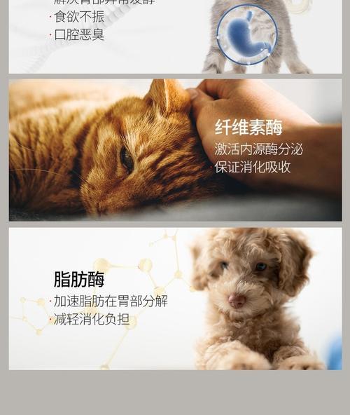 了解狗狗的肠胃宝——肠胃宝的功效与使用方法(维护狗狗健康的关键,肠胃宝!)(图3) 了解狗狗的肠胃宝——肠胃宝的功效与使用方法(维护狗狗健康的关键,肠胃宝!)(图3)