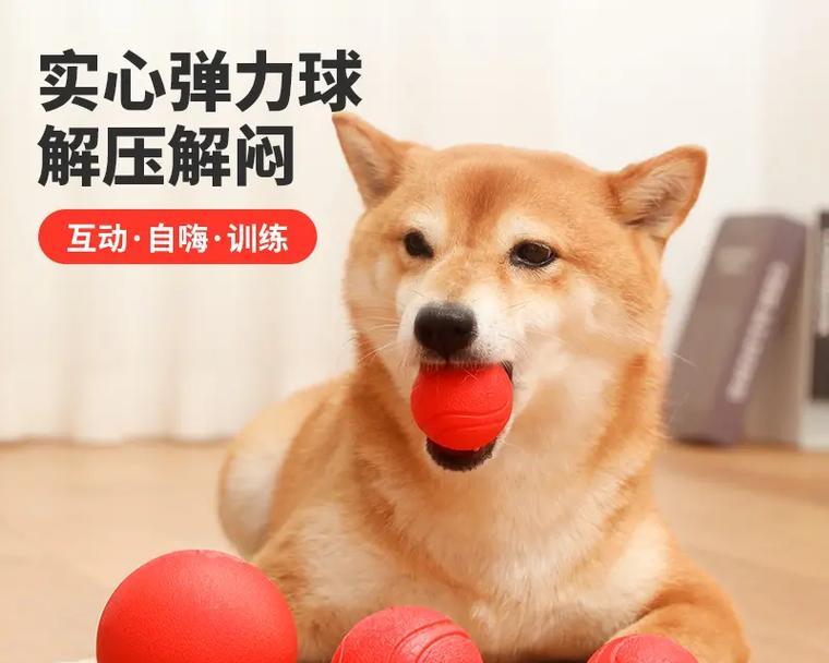 小狗训练中最适合的球类及其好处(以网球为例,揭秘小狗训练中最佳球类选择和方法)(图1) 小狗训练中最适合的球类及其好处(以网球为例,揭秘小狗训练中最佳球类选择和方法)(图1)