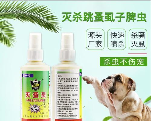 狗狗身上的跳蚤该如何有效地进行治疗?(选择合适的药物是关键,关注狗狗身体健康!)(图2) 狗狗身上的跳蚤该如何有效地进行治疗?(选择合适的药物是关键,关注狗狗身体健康!)(图2)