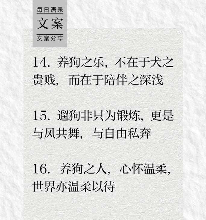 养狗前的必备条件(打造舒适宜居的狗生活环境)(图2) 养狗前的必备条件(打造舒适宜居的狗生活环境)(图2)