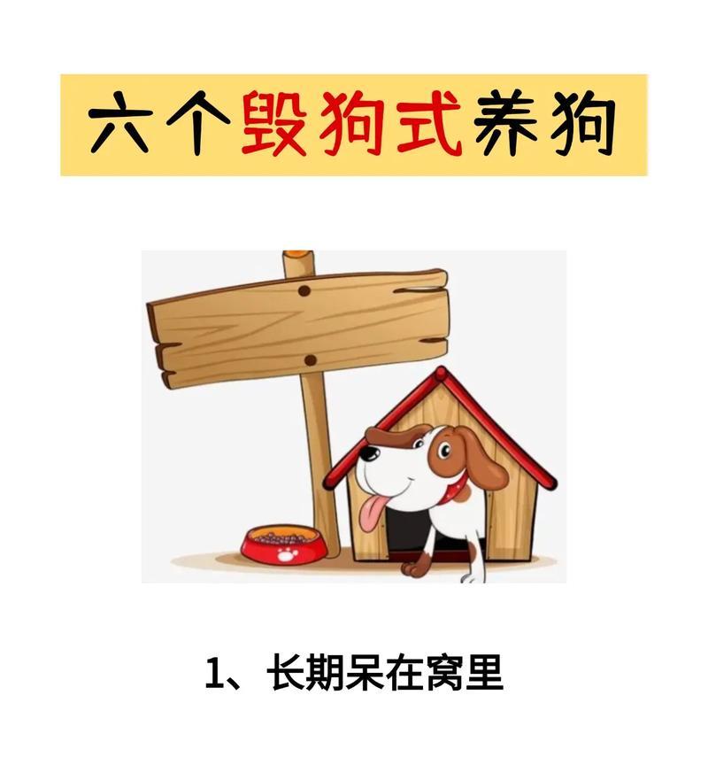 养狗前的必备条件(打造舒适宜居的狗生活环境)(图1) 养狗前的必备条件(打造舒适宜居的狗生活环境)(图1)