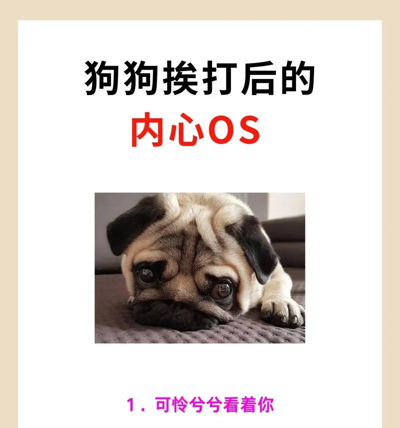 养狗前的必备条件(打造舒适宜居的狗生活环境)(图3) 养狗前的必备条件(打造舒适宜居的狗生活环境)(图3)