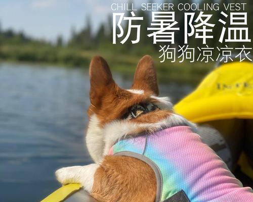 狗狗中暑发烧急需打针,保护它的健康!(了解狗狗中暑发烧的原因和应对措施,即刻行动!)(图2) 狗狗中暑发烧急需打针,保护它的健康!(了解狗狗中暑发烧的原因和应对措施,即刻行动!)(图2)