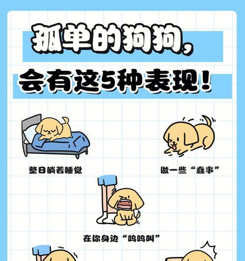 探究狗狗无精的原因及应对方法（为何狗狗失
