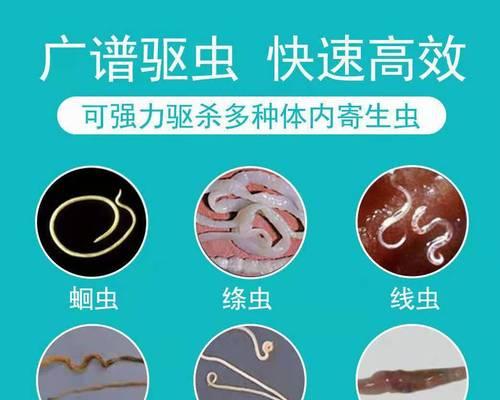 金毛20天吃什么驱虫药?(了解金毛幼犬驱虫需知,科学喂养更健康)(图1) 金毛20天吃什么驱虫药?(了解金毛幼犬驱虫需知,科学喂养更健康)(图1)