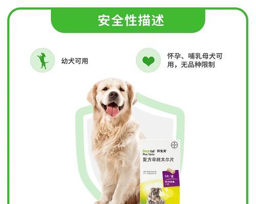 金毛20天吃什么驱虫药?(了解金毛幼犬驱虫需知,科学喂养更健康)(图3) 金毛20天吃什么驱虫药?(了解金毛幼犬驱虫需知,科学喂养更健康)(图3)