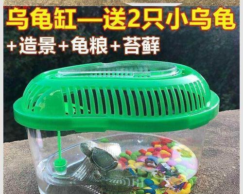 小女孩适合养什么宠物?(选择合适的宠物对小女孩的成长十分重要)(图1) 小女孩适合养什么宠物?(选择合适的宠物对小女孩的成长十分重要)(图1)