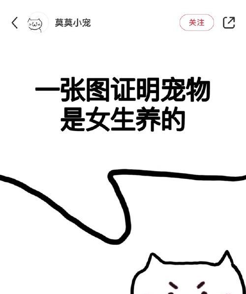 小女孩适合养什么宠物?(选择合适的宠物对小女孩的成长十分重要)(图3) 小女孩适合养什么宠物?(选择合适的宠物对小女孩的成长十分重要)(图3)