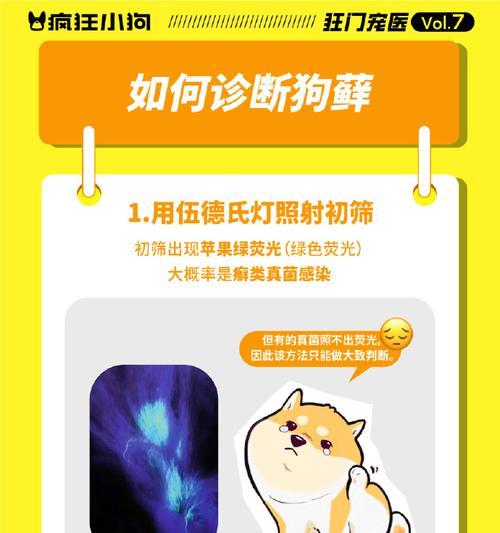 治疗狗皮肤病的药物及其应用(选择适合狗病情的药物是治疗皮肤病的关键)(图2) 治疗狗皮肤病的药物及其应用(选择适合狗病情的药物是治疗皮肤病的关键)(图2)