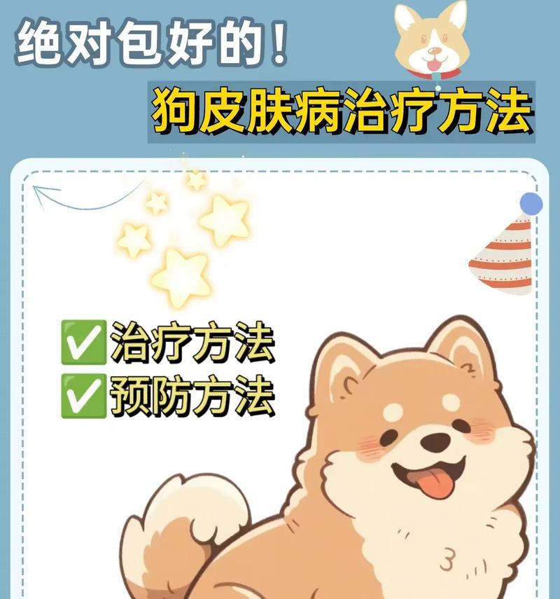 治疗狗皮肤病的药物及其应用(选择适合狗病情的药物是治疗皮肤病的关键)(图1) 治疗狗皮肤病的药物及其应用(选择适合狗病情的药物是治疗皮肤病的关键)(图1)