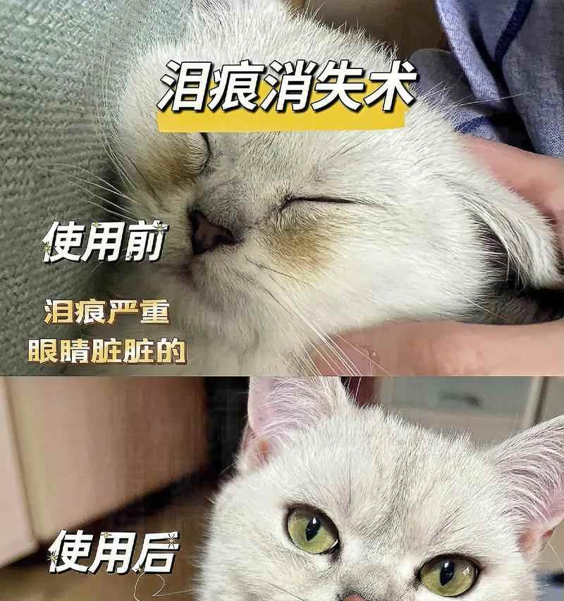 揭秘眼屎的成因及其意义(为什么我们的眼睛会生出眼屎?眼屎到底有什么用?)(图1) 揭秘眼屎的成因及其意义(为什么我们的眼睛会生出眼屎?眼屎到底有什么用?)(图1)