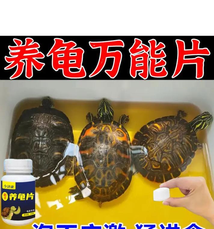 乌龟水质意义深远（探索乌龟水质的重要性及影响因素）(图3)