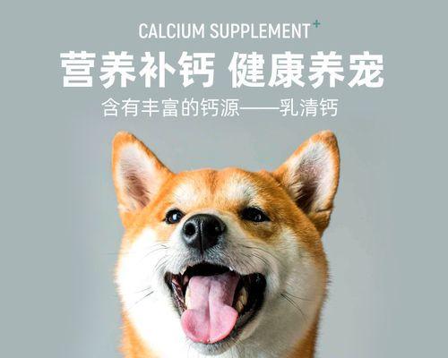 小狗狗补钙吃什么最好（营养丰富的食物是宝
