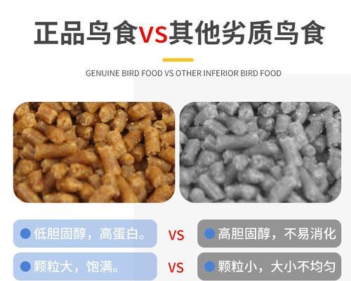 画眉鸟的主要食物及其重要性(揭秘画眉鸟的食物偏好和饮食习惯)(图3) 画眉鸟的主要食物及其重要性(揭秘画眉鸟的食物偏好和饮食习惯)(图3)