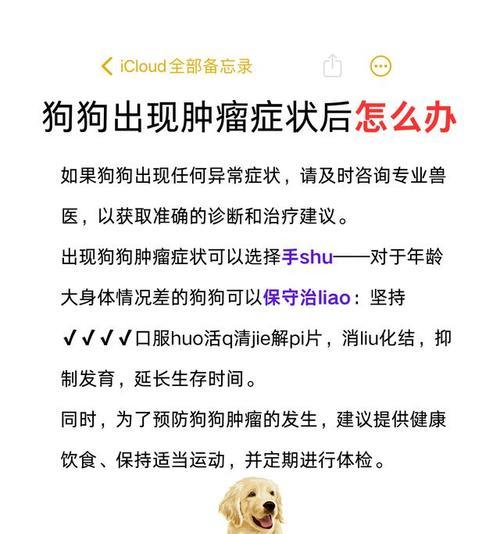 狗狗肿瘤破了该抹什么药?(探索有效的肿瘤抹药方法,关注狗狗健康)(图3) 狗狗肿瘤破了该抹什么药?(探索有效的肿瘤抹药方法,关注狗狗健康)(图3)