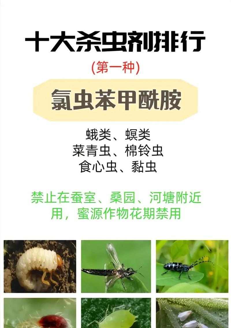 人体寄生虫问题的解决办法(药物治疗是最有效的选择)(图2) 人体寄生虫问题的解决办法(药物治疗是最有效的选择)(图2)