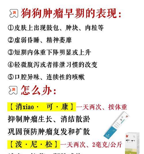 狗狗肿瘤破了该抹什么药?(探索有效的肿瘤抹药方法,关注狗狗健康)(图2) 狗狗肿瘤破了该抹什么药?(探索有效的肿瘤抹药方法,关注狗狗健康)(图2)