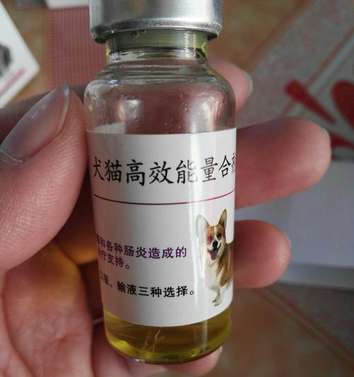 以狗得细小输液的主要药物（了解为狗进行细小输液所用药物的种类和效果）(图2)