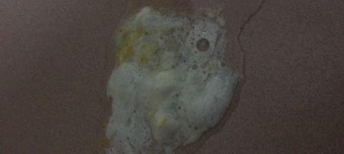 狗鼻子有白色鼻涕的原因解析(了解狗鼻子白色鼻涕的成因和应对方法)(图1) 狗鼻子有白色鼻涕的原因解析(了解狗鼻子白色鼻涕的成因和应对方法)(图1)