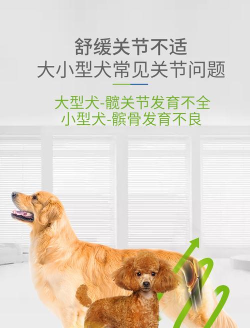以德牧幼犬如何补钙(补钙是幼犬健康发育的关键,关注以下关键事项)(图3) 以德牧幼犬如何补钙(补钙是幼犬健康发育的关键,关注以下关键事项)(图3)