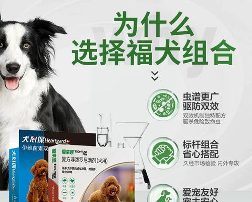 给小狗打虫子的药物选择(了解小狗打虫药物的种类和使用方法,保护它们健康成长)(图1) 给小狗打虫子的药物选择(了解小狗打虫药物的种类和使用方法,保护它们健康成长)(图1)