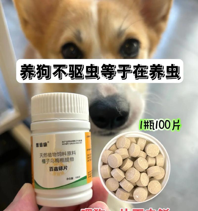 给小狗打虫子的药物选择(了解小狗打虫药物的种类和使用方法,保护它们健康成长)(图2) 给小狗打虫子的药物选择(了解小狗打虫药物的种类和使用方法,保护它们健康成长)(图2)