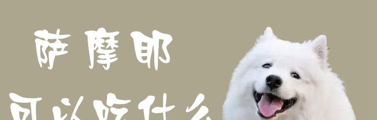 萨摩耶中暑急救,合理用药(保护毛孩不中暑,药物救命关键)(图1) 萨摩耶中暑急救,合理用药(保护毛孩不中暑,药物救命关键)(图1)