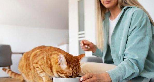 猫咪的日常饮食需求(全面了解猫咪的饮食习惯与需求,打造健康的餐桌)(图3) 猫咪的日常饮食需求(全面了解猫咪的饮食习惯与需求,打造健康的餐桌)(图3)