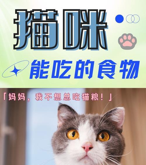 猫咪的日常饮食需求(全面了解猫咪的饮食习惯与需求,打造健康的餐桌)(图2) 猫咪的日常饮食需求(全面了解猫咪的饮食习惯与需求,打造健康的餐桌)(图2)