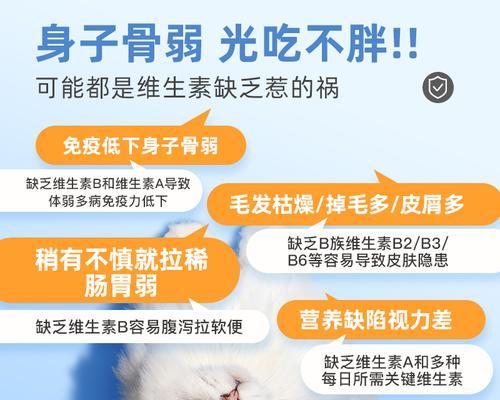狗狗缺乏维生素如何补充?(维生素补充对狗狗健康的重要性)(图2) 狗狗缺乏维生素如何补充?(维生素补充对狗狗健康的重要性)(图2)