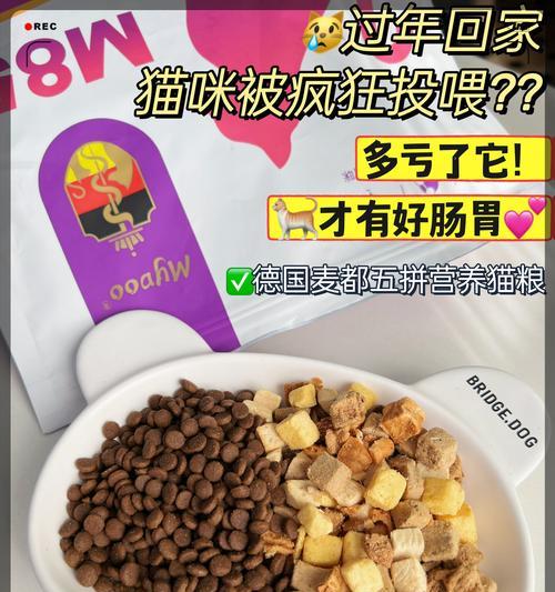 小猫的饮食需求与最佳喂养方式(科学喂养小猫,让它健康成长)(图4) 小猫的饮食需求与最佳喂养方式(科学喂养小猫,让它健康成长)(图4)
