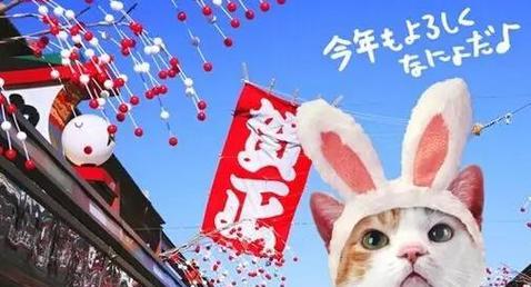 以日本人给猫起什么名字大全（探索日本人给猫取名的文化与趋势）(图1)