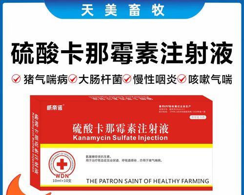 狗老喘的治疗方法(了解狗老喘的药物治疗与护理方法)(图1) 狗老喘的治疗方法(了解狗老喘的药物治疗与护理方法)(图1)