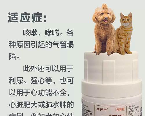 狗老喘的治疗方法(了解狗老喘的药物治疗与护理方法)(图3) 狗老喘的治疗方法(了解狗老喘的药物治疗与护理方法)(图3)