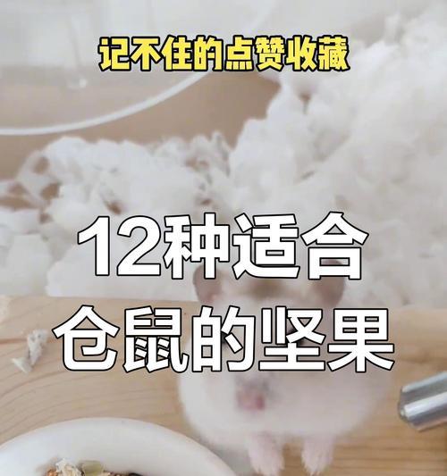 仓鼠的食物和开销(探索仓鼠的饮食习惯和经济成本,为您的宠物提供合适的食物)(图3) 仓鼠的食物和开销(探索仓鼠的饮食习惯和经济成本,为您的宠物提供合适的食物)(图3)