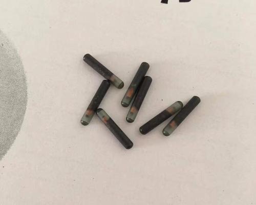 狗晶片(智能科技为你的狗带来全新的安全保障)(图3) 狗晶片(智能科技为你的狗带来全新的安全保障)(图3)