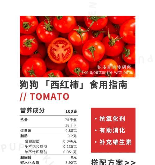 小狗受伤了,该吃什么药?(保护小狗健康的救命良药)(图1) 小狗受伤了,该吃什么药?(保护小狗健康的救命良药)(图1)