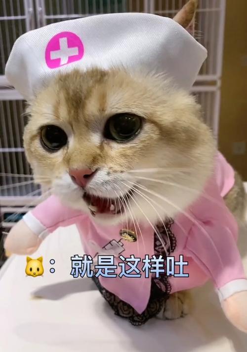 狗狗舌头烂了怎么办？药物治疗助您快速康复（了解狗狗舌头烂的原因及常用药物治疗方法）(图1)
